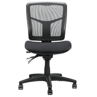 Mirae Mesh Chair