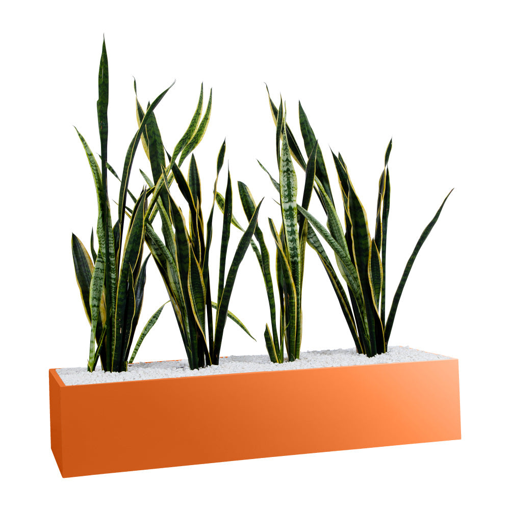 Statewide Planter Box