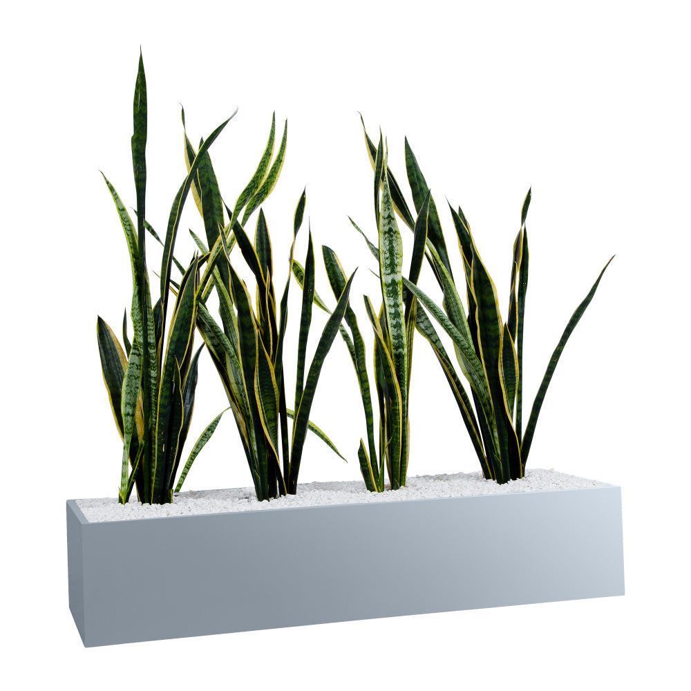 Statewide Planter Box