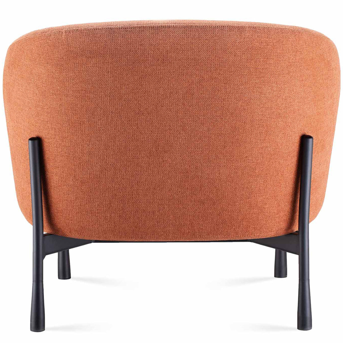 Cosmos Lounge Chair