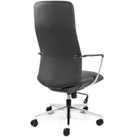 Director Executive Office Chair