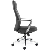 Director Executive Office Chair