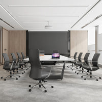 Director Executive Office Chair