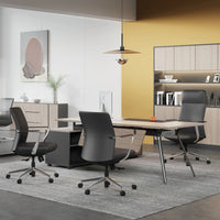Director Executive Office Chair