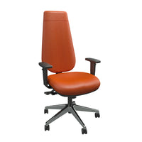 Ergopedic Controller Chair