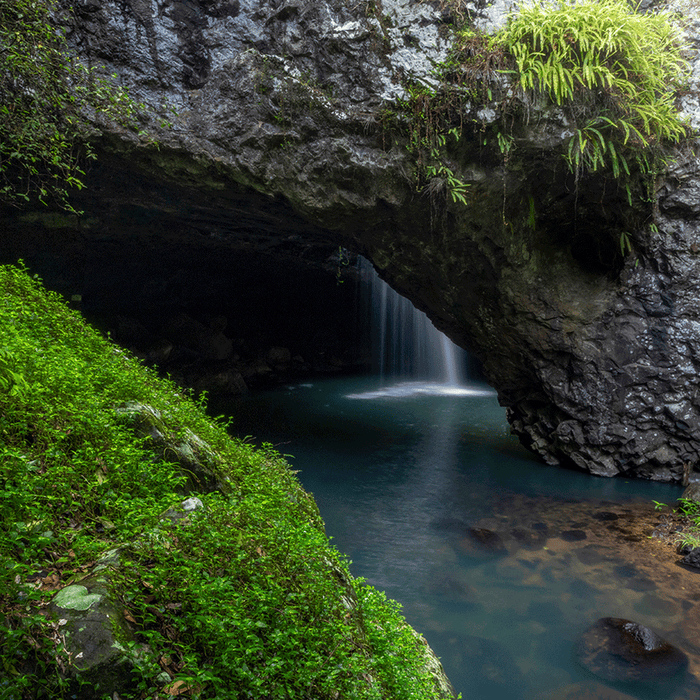 Natural Archway - switchoffice.com.au