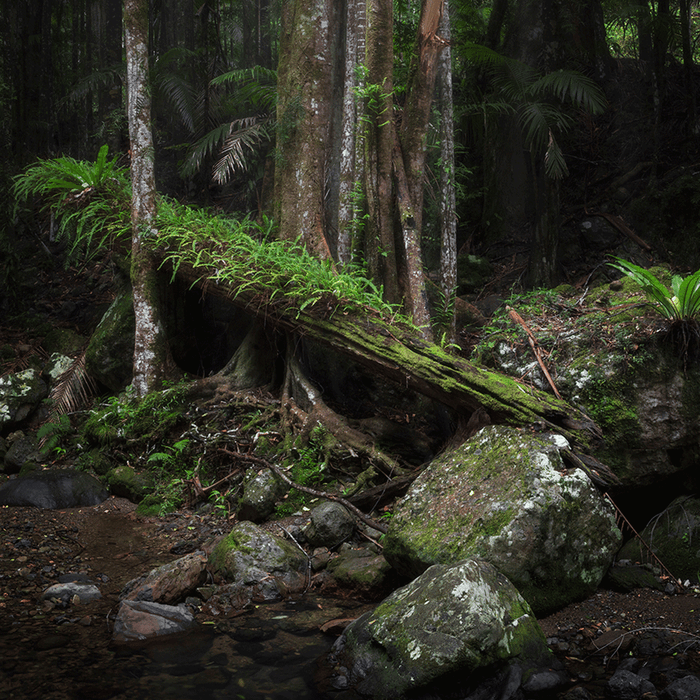 Forest Way - switchoffice.com.au