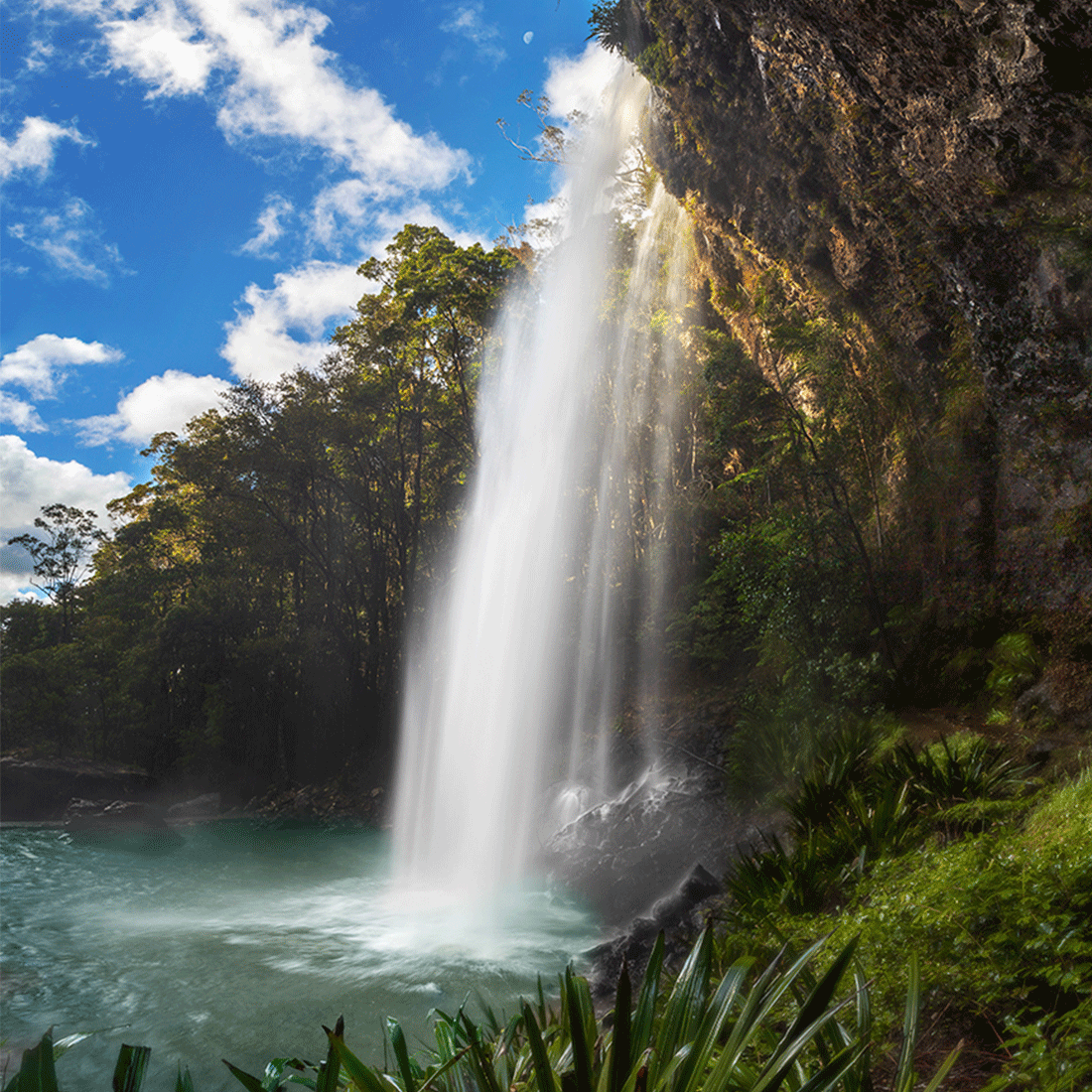 Fresh Waterfall Mist - switchoffice.com.au