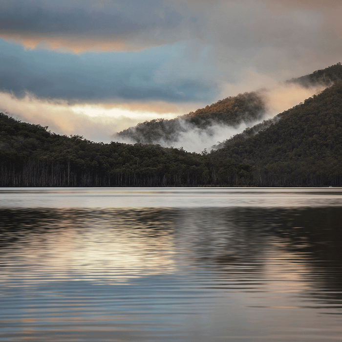 Dam Calm - switchoffice.com.au