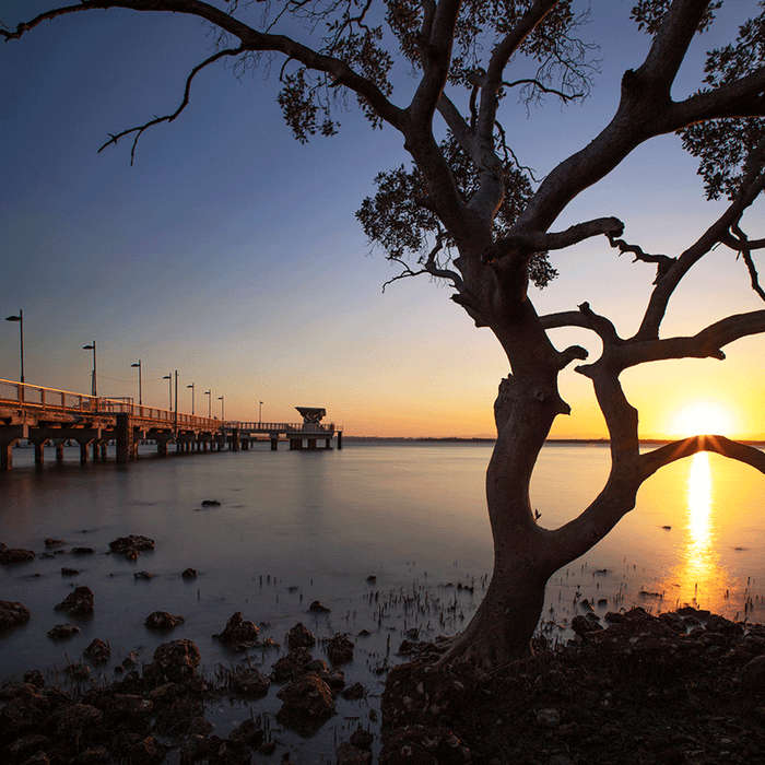 Golden Jetty - switchoffice.com.au