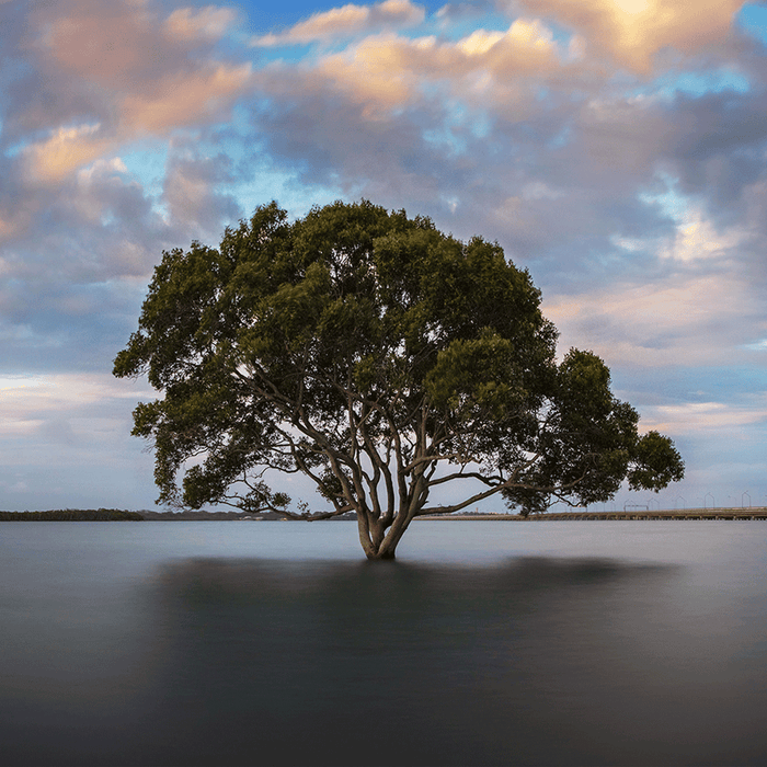 Placid Lake - switchoffice.com.au