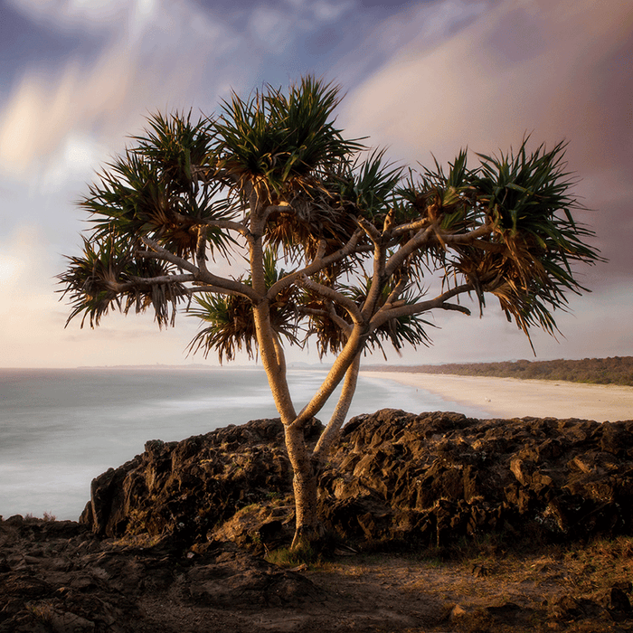 Stradbroke Gaze - switchoffice.com.au