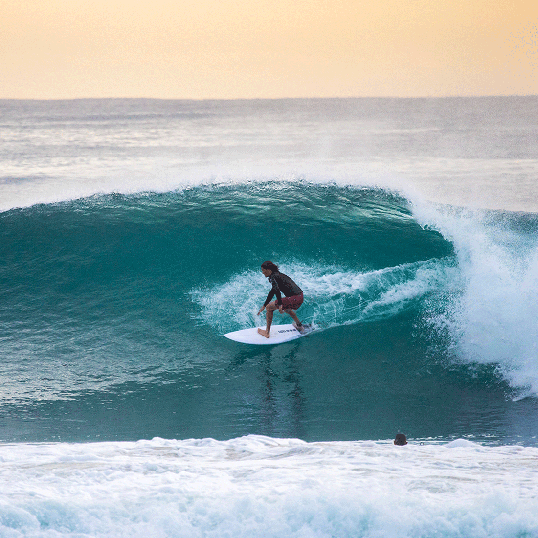 Surfer - switchoffice.com.au